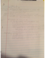 Week 13 Notes