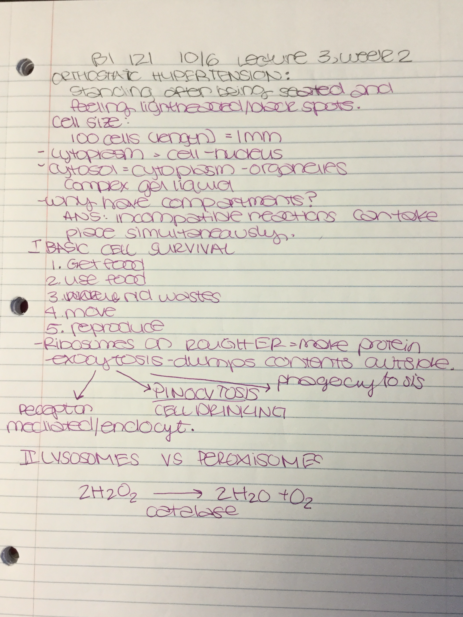 BI 121 week 2 lecture notes 10/6 and 10/8