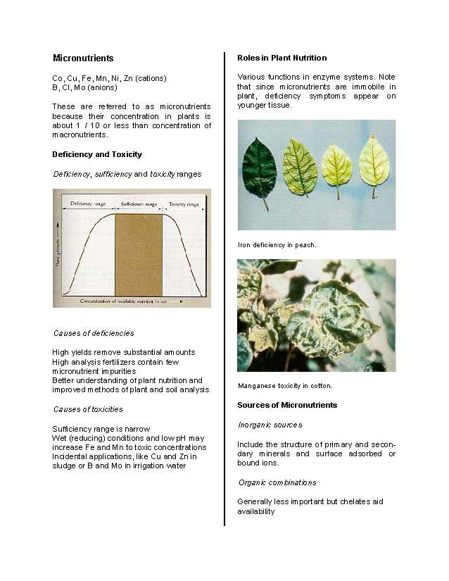 SOIL SCIENCE