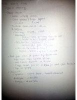 Microbiology week 2 Notes