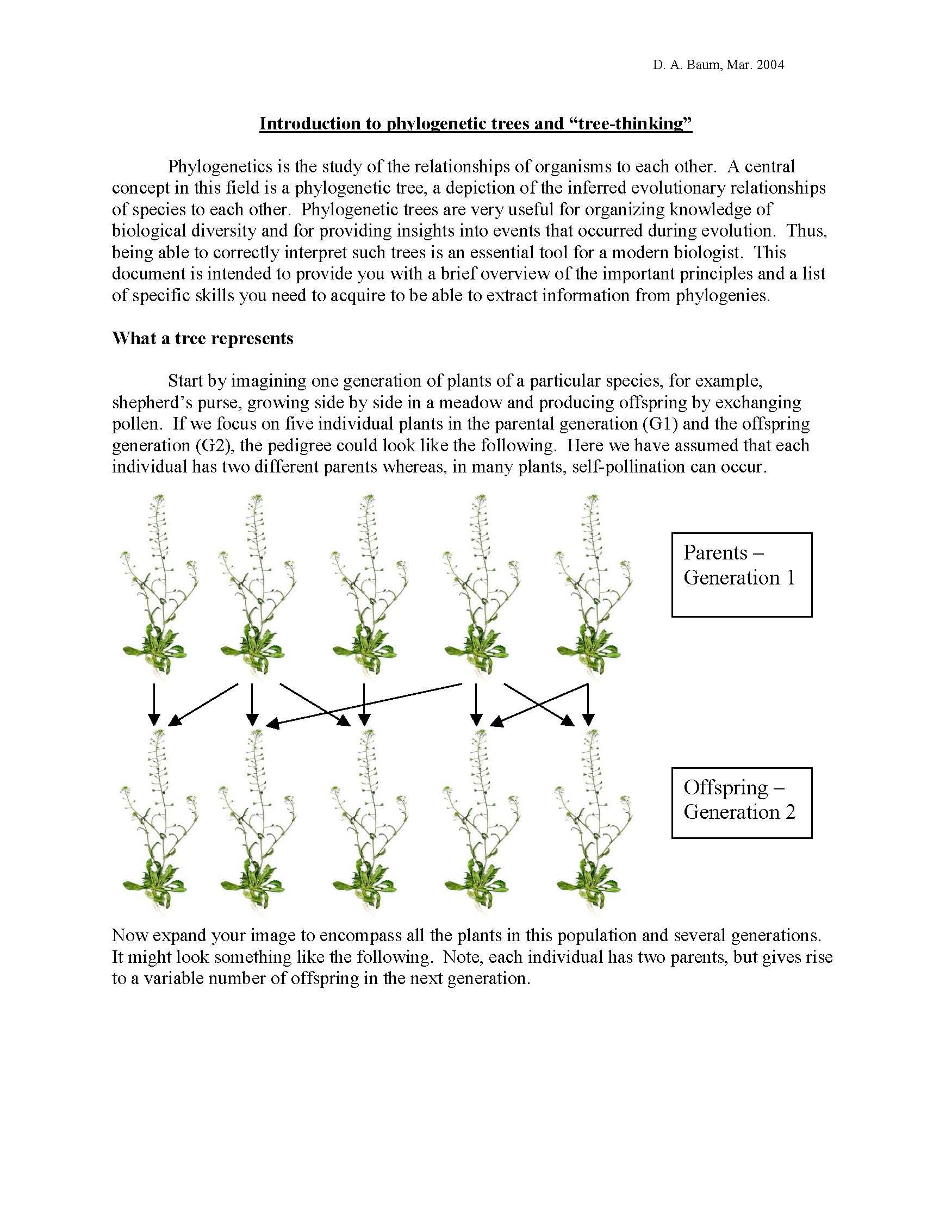 Phylogenetic Analysis of Molecular Data