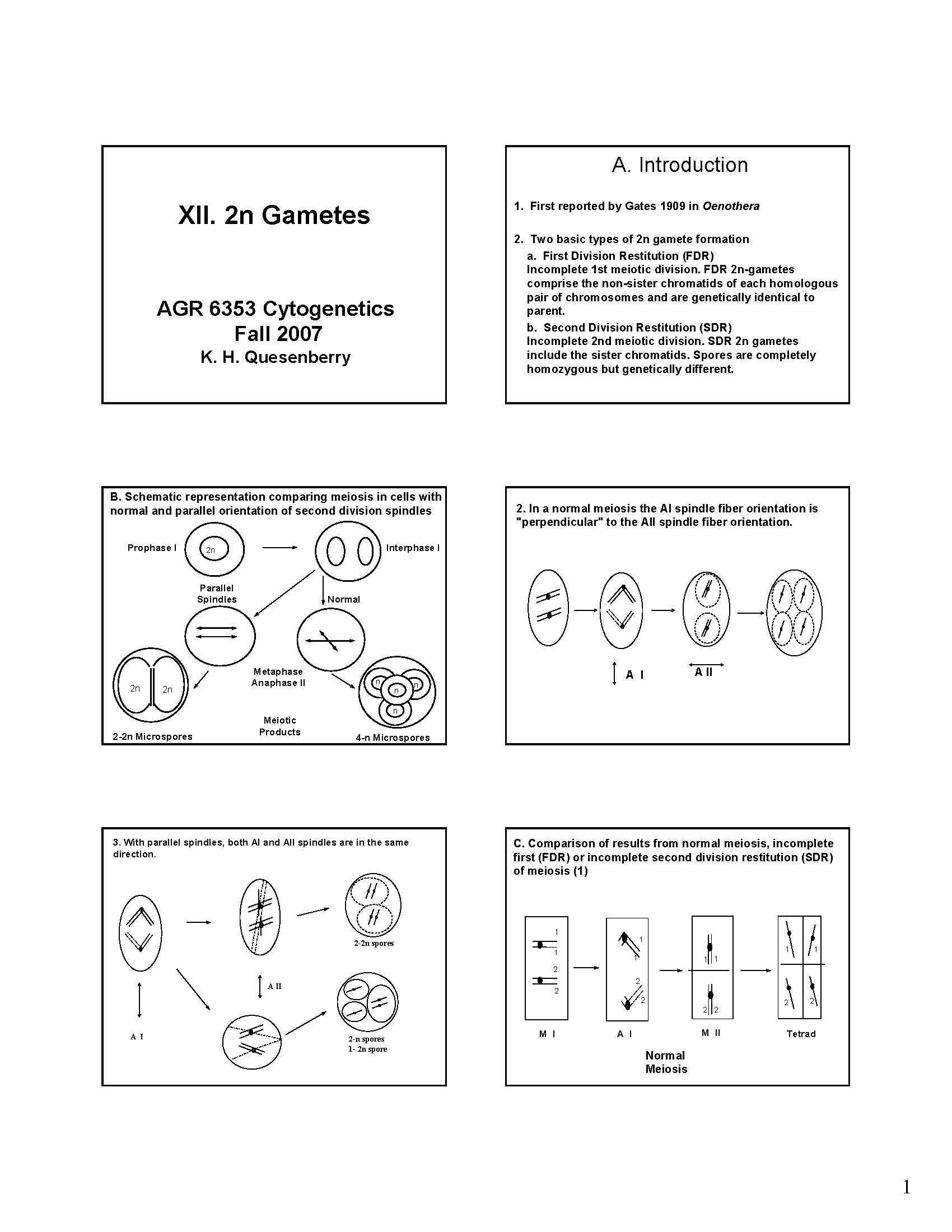 CYTOGENETICS