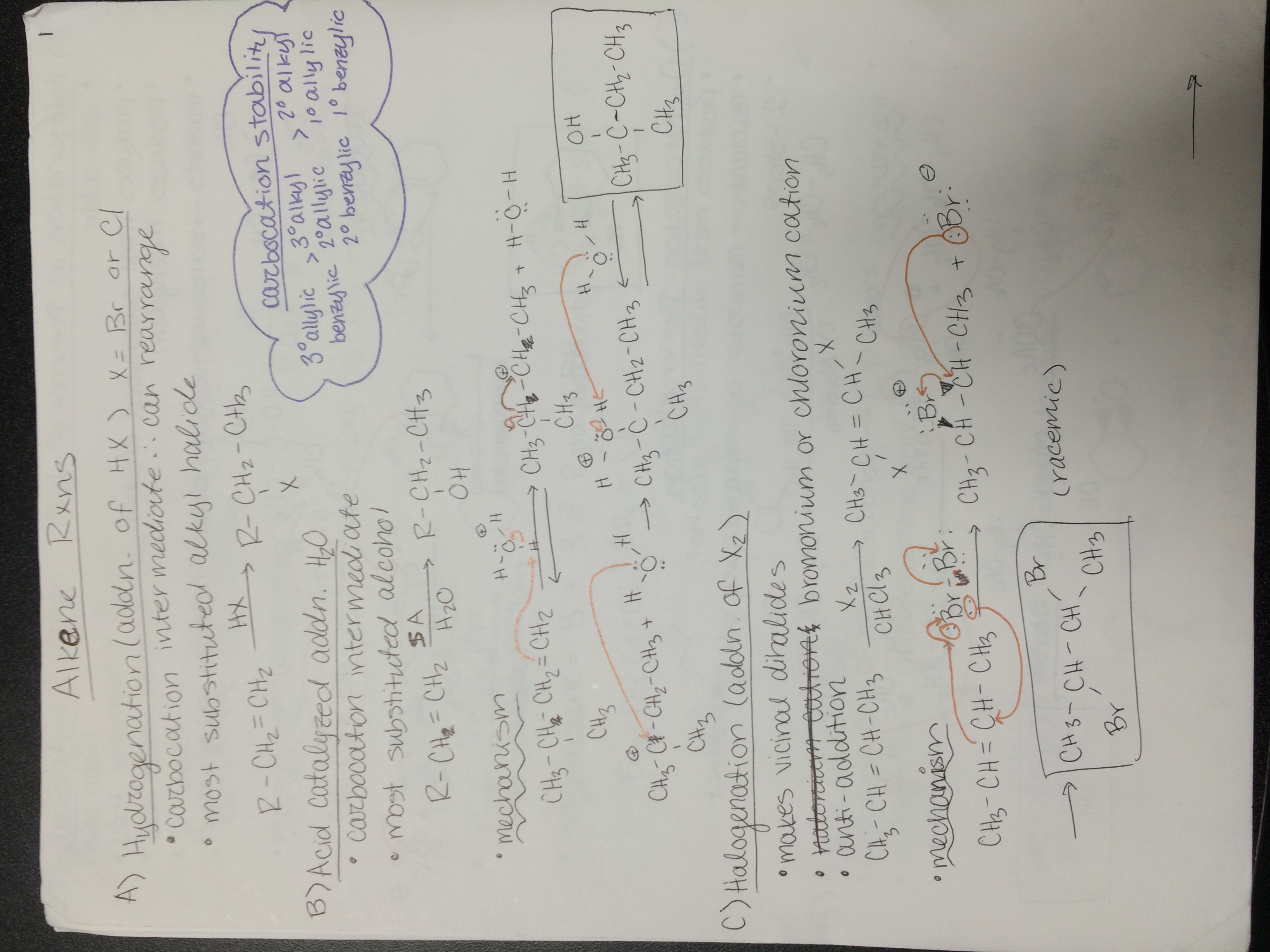 Final study guide