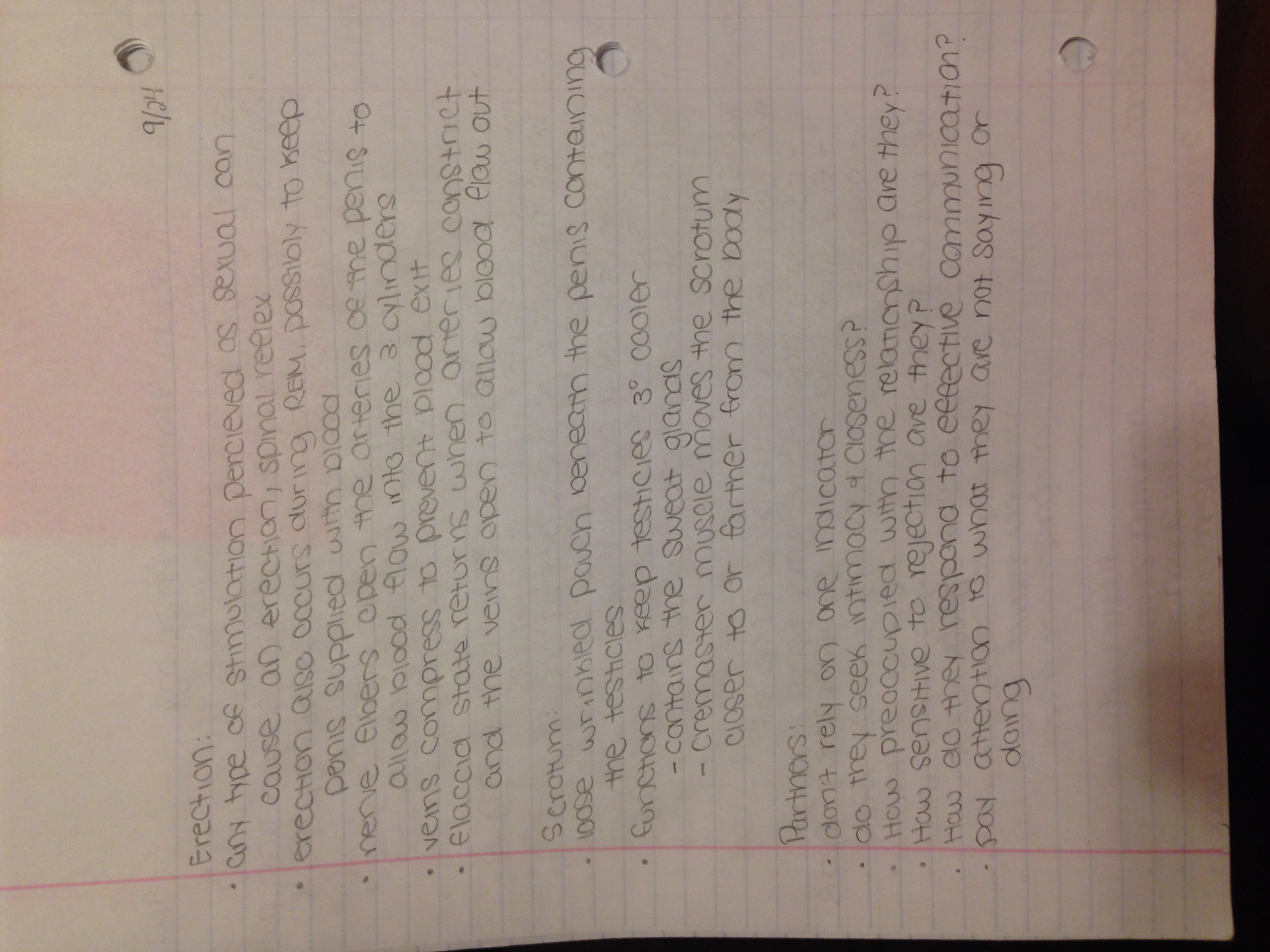 Human Sexuality: Ch 6 Notes Male Sexual Anatomy and Physiology 