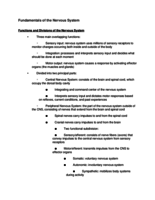 Fundamentals of the Nervous System