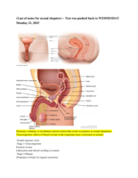 Last lecture On Sex(Monday 21st)