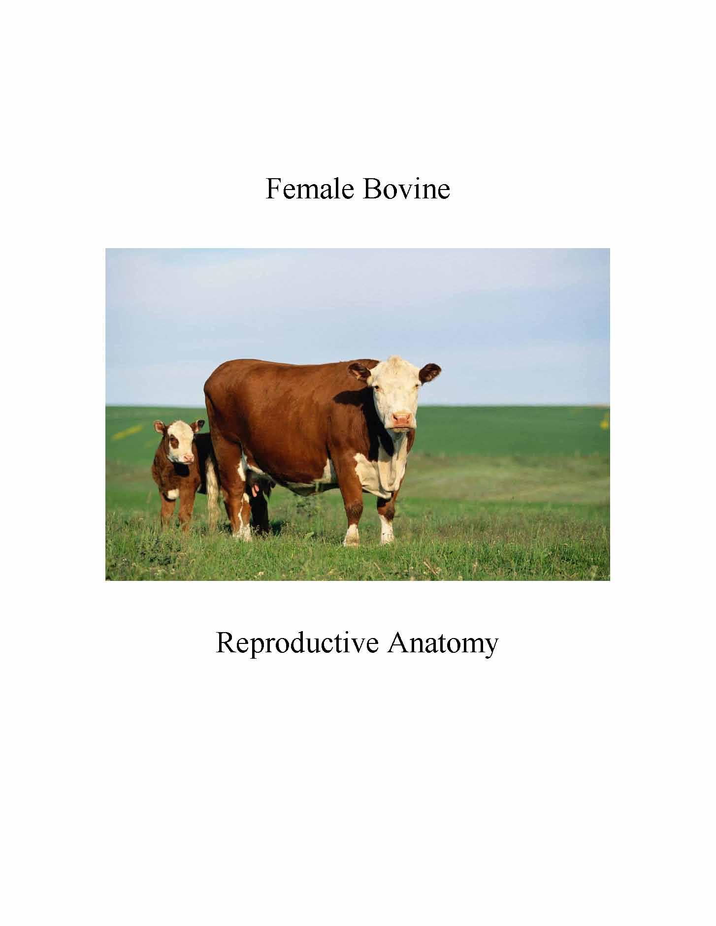 Domestic Animal Reproductive Physiology