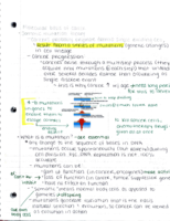 Molecular basis of cancer and gene expression review