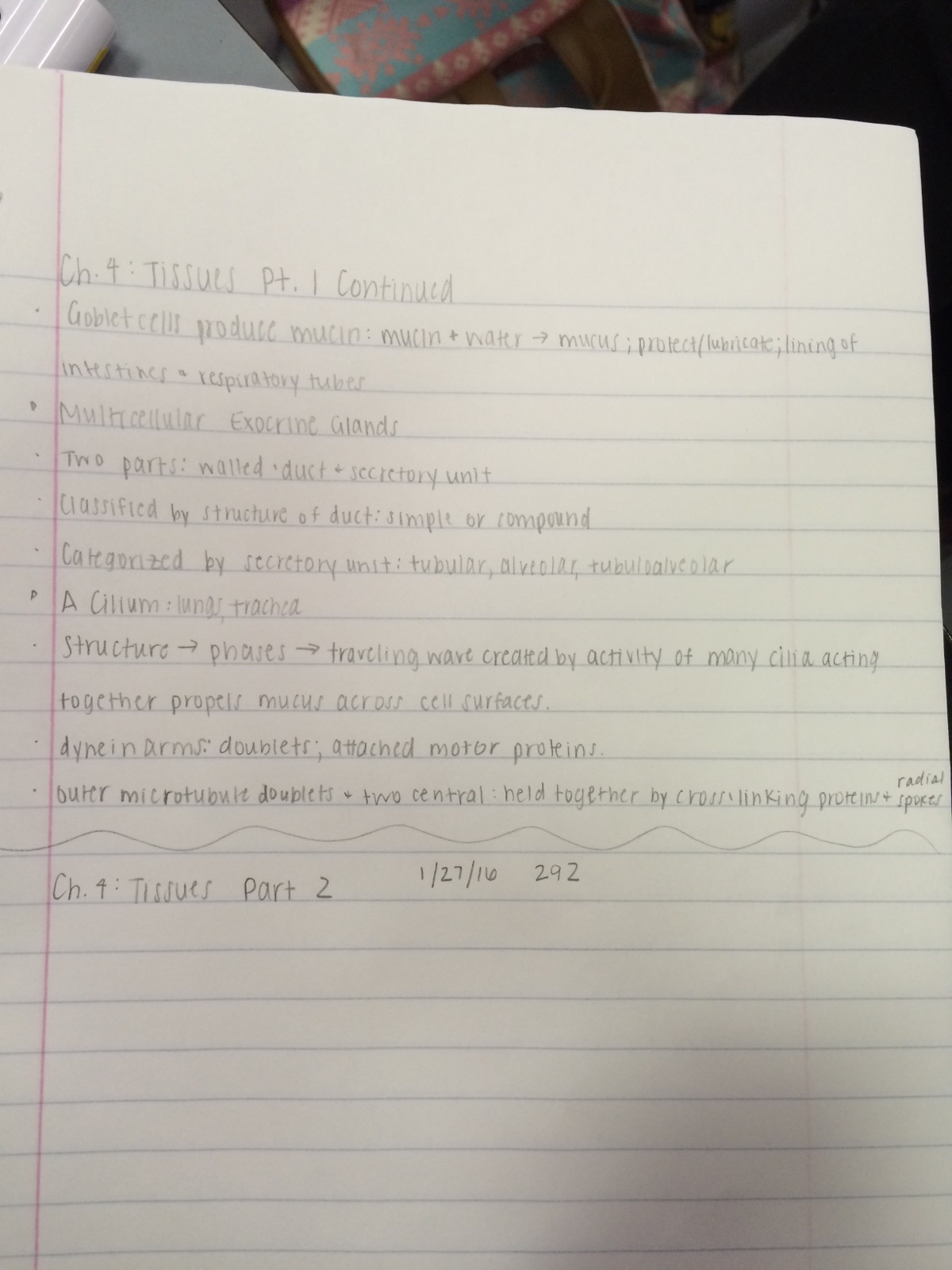 EXSC 292 - Section 1 (Winfrey-Kovell)