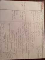 Radamisto Aria notes 