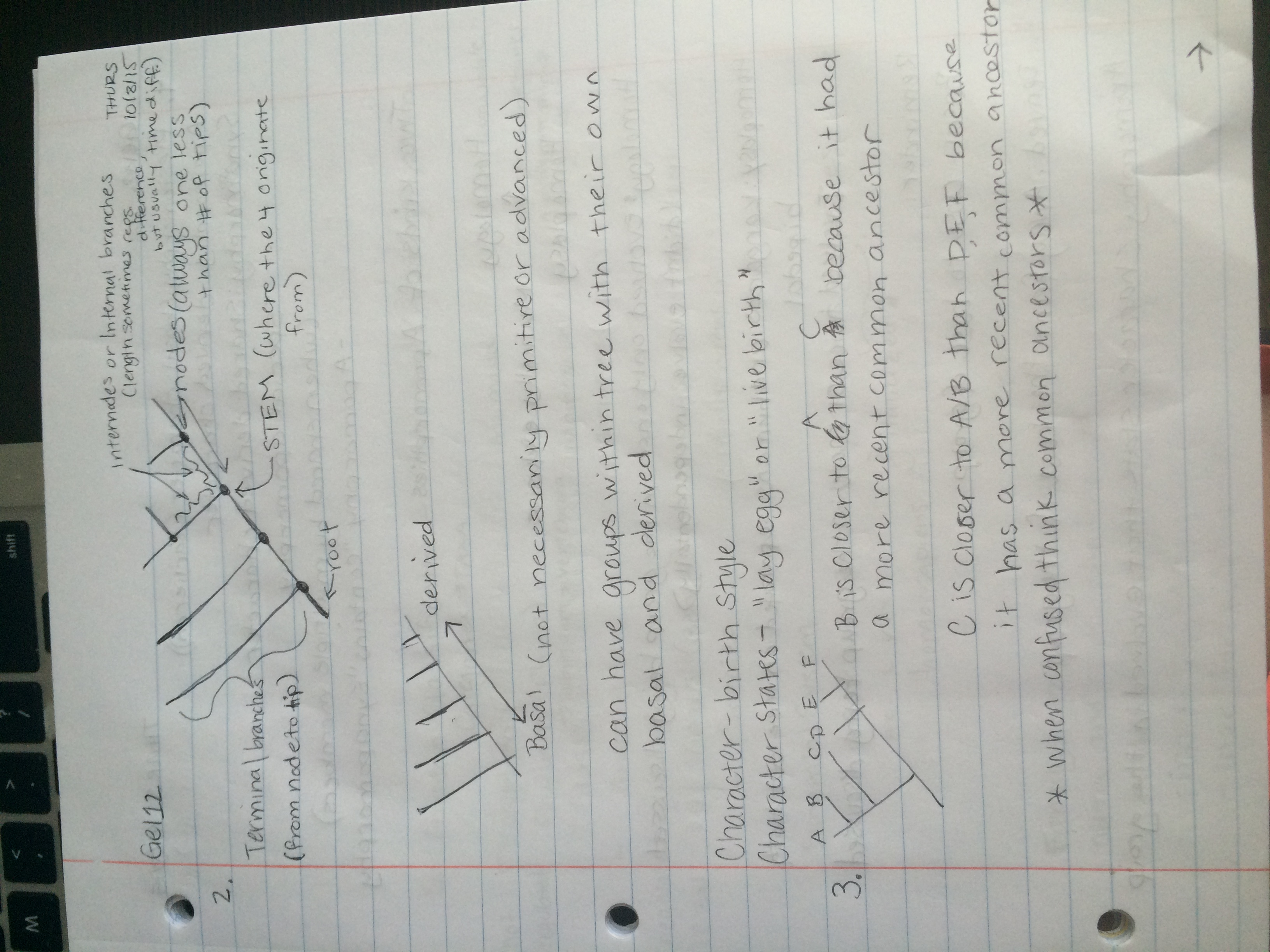 Week Two Notes