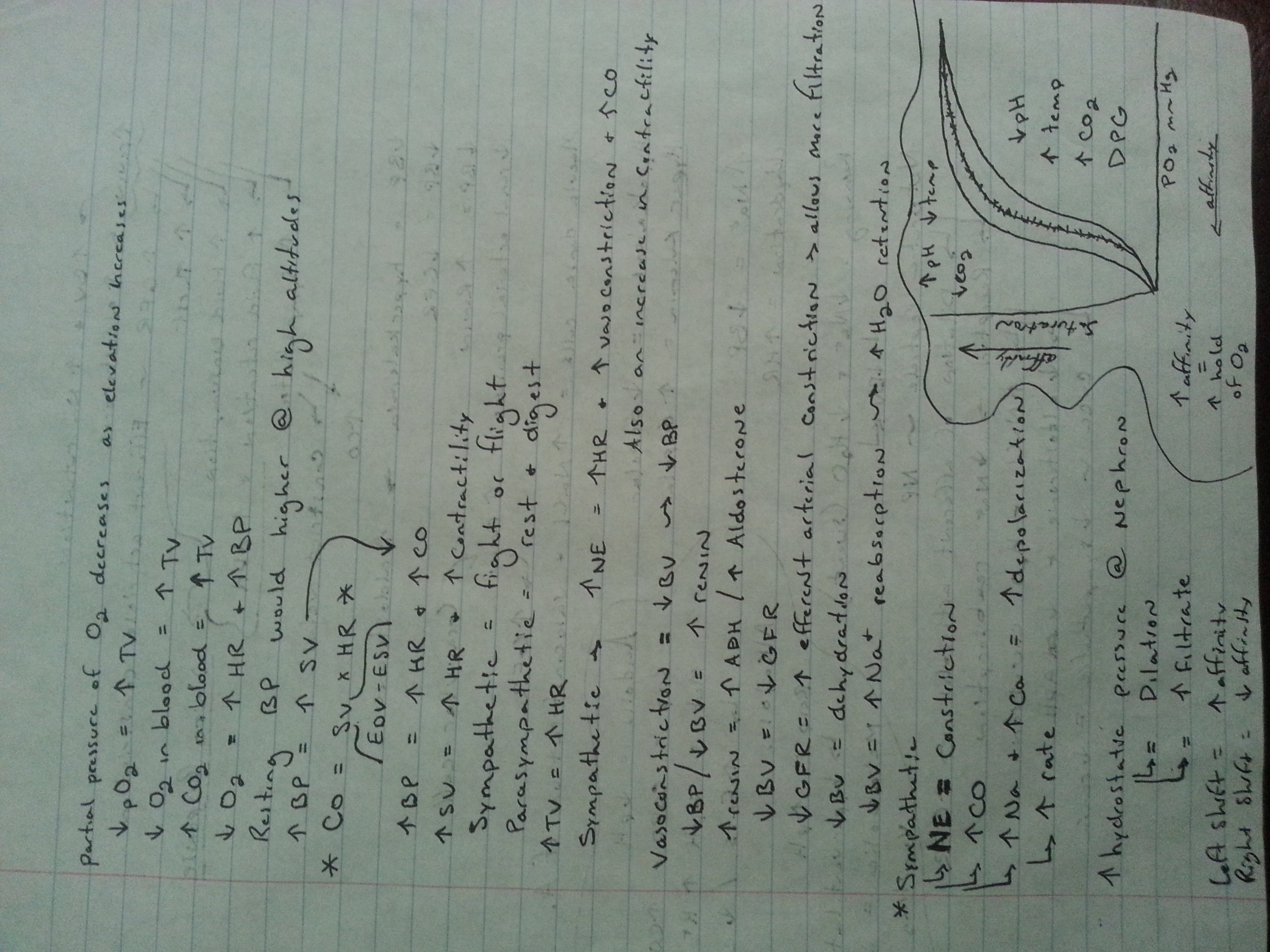 Review Pages for Integrative Final Exam 