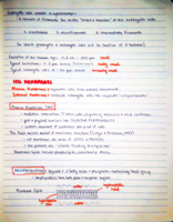 BIOL20A: WEEK 4