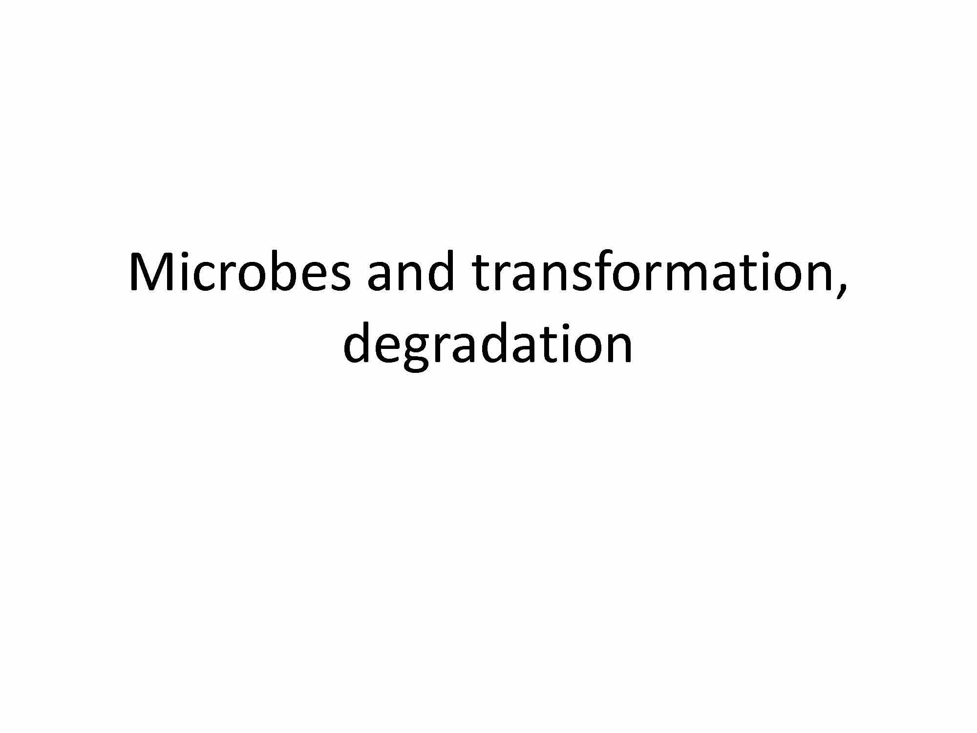 Microbial Ecology