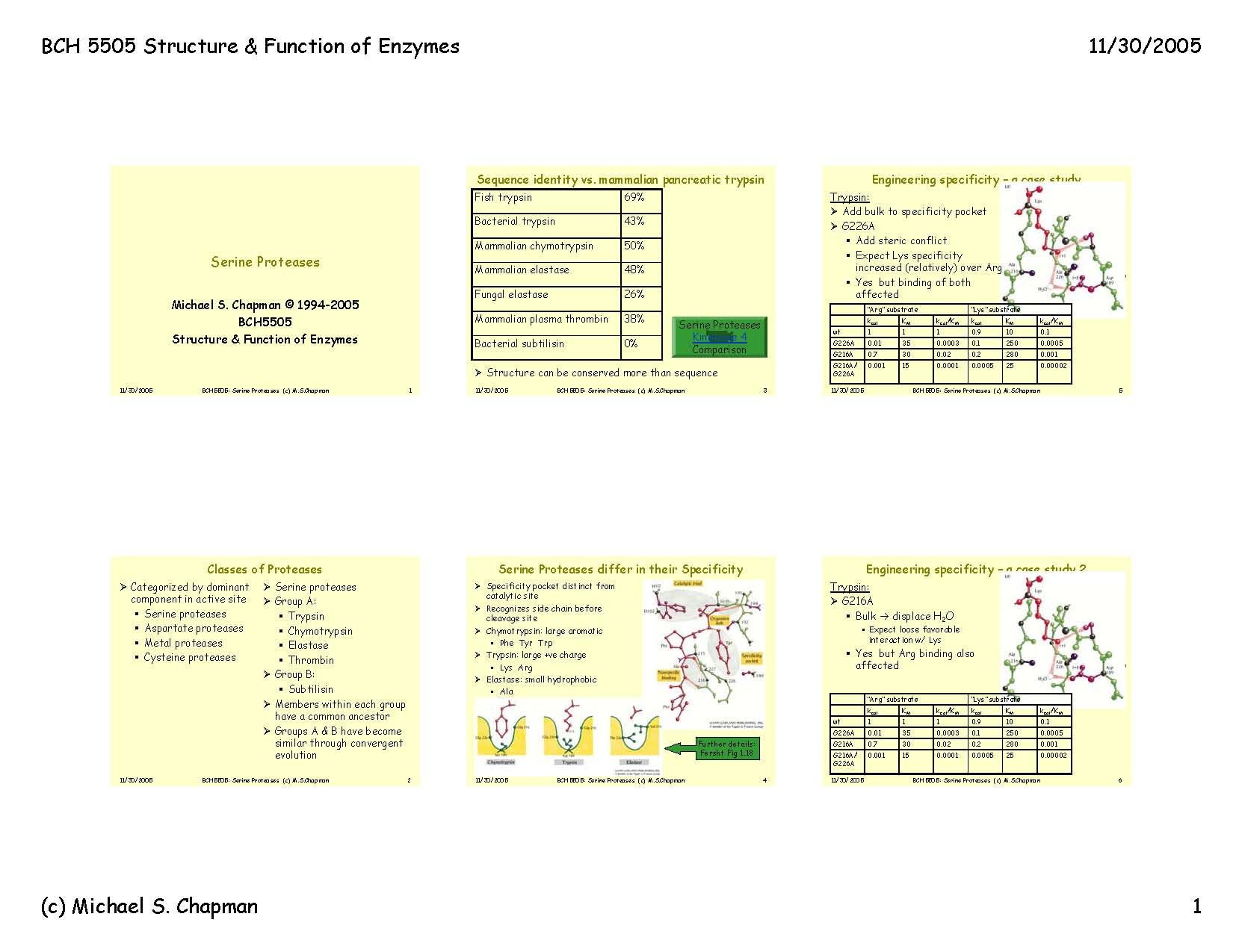 STRUC AND FUNC ENZYS