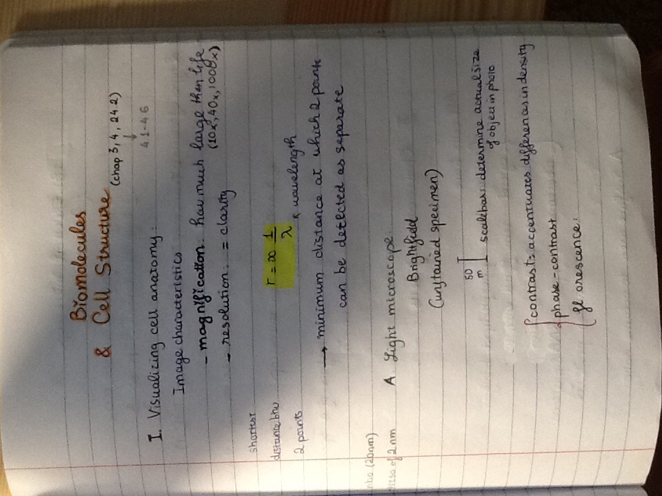 Exam 2 prep