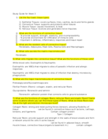 Anatomy Study Guide 3