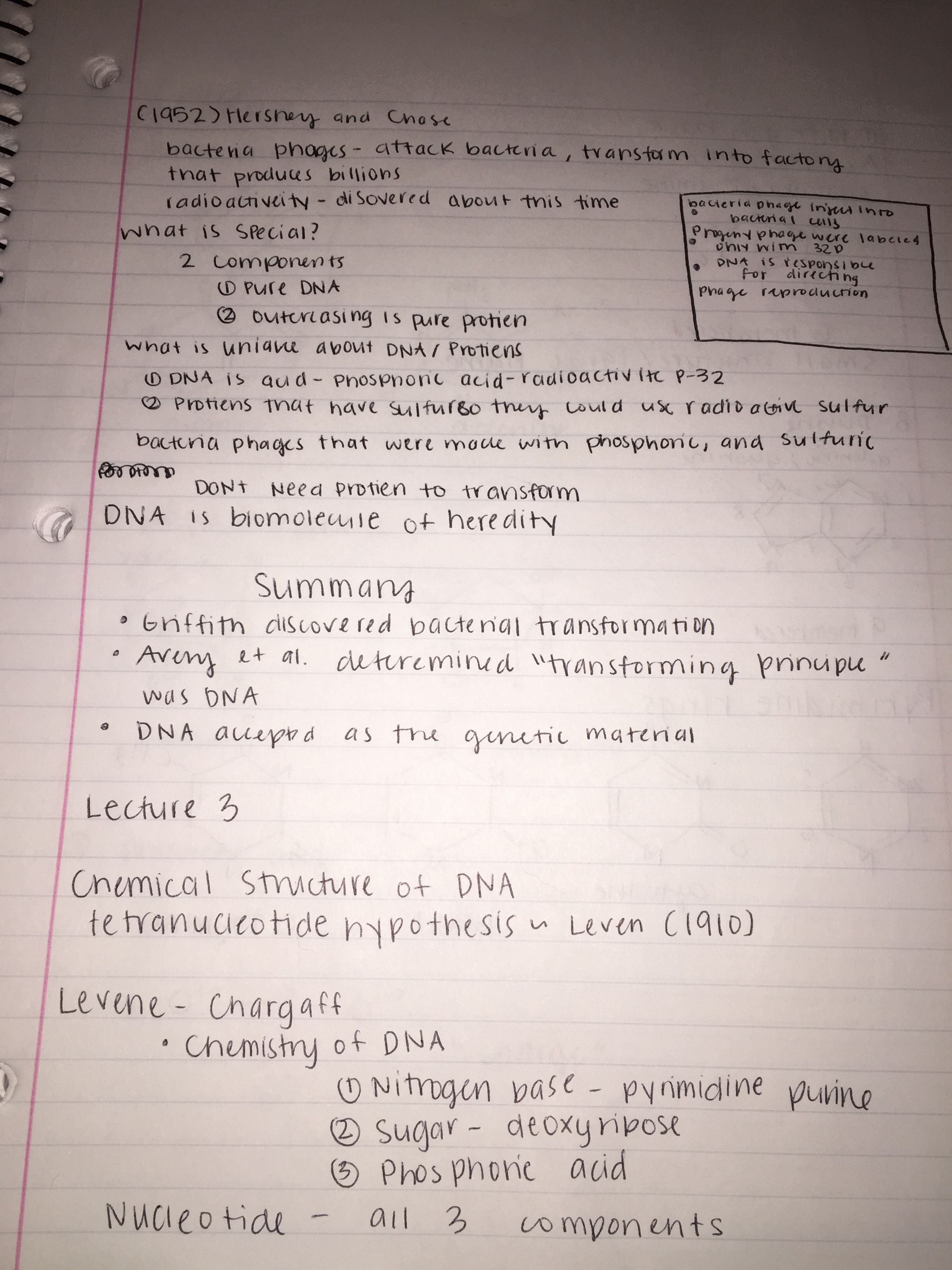 Week 1 of Notes