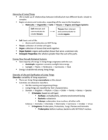 Week 1 Lecture Notes