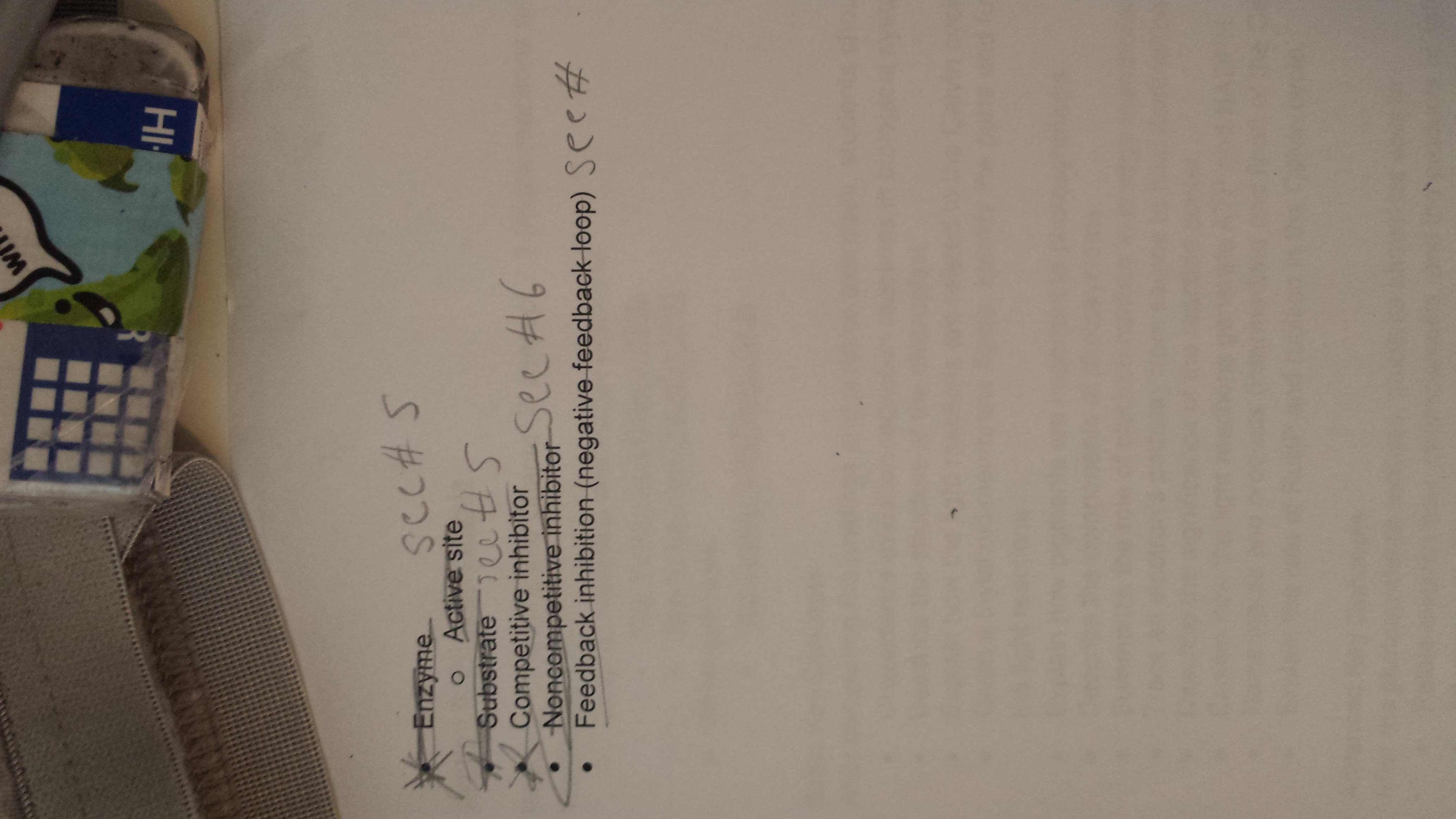 Section 4: Energy Key Concepts