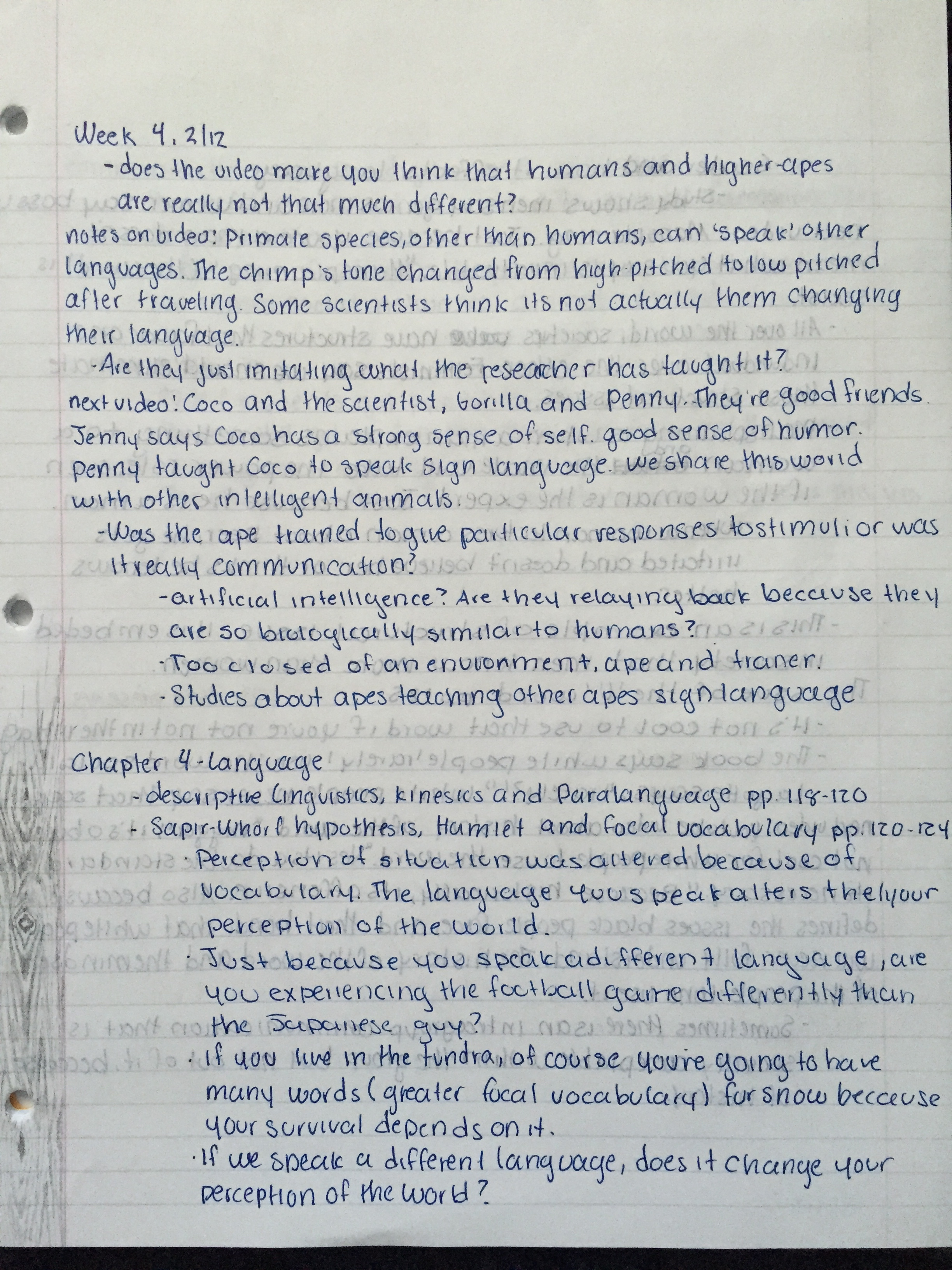 Cultural Anth. Study Guide 