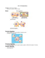 BS 161 Cell Communication