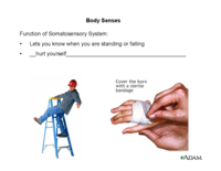 PSYC2070_10-1-15_BB.ppt