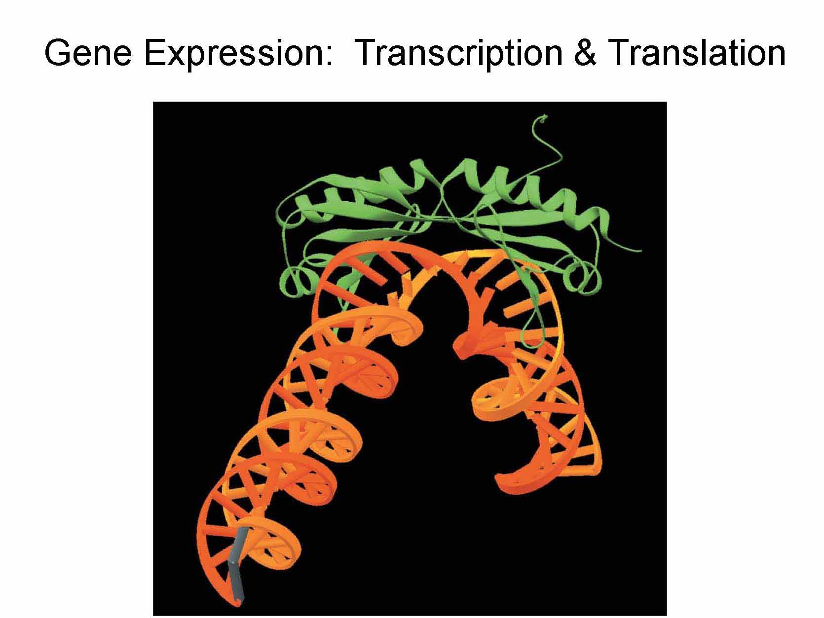 PRINC OF GENETICS
