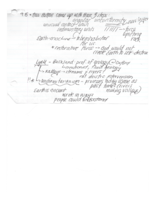 Week 4 Notes (Phys. Anth.)