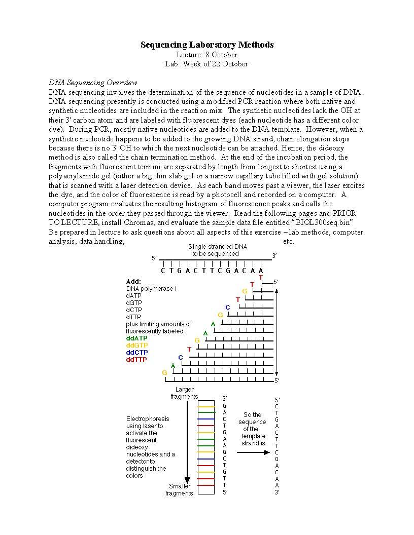 BIOTECHNIQUES LAB 12WI