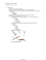 Food Web 
