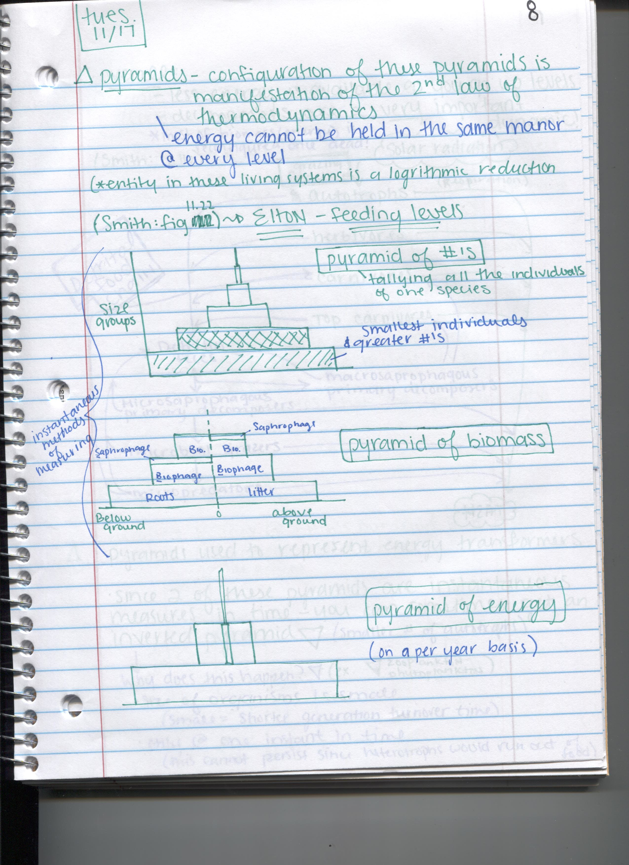 Ecology notes 