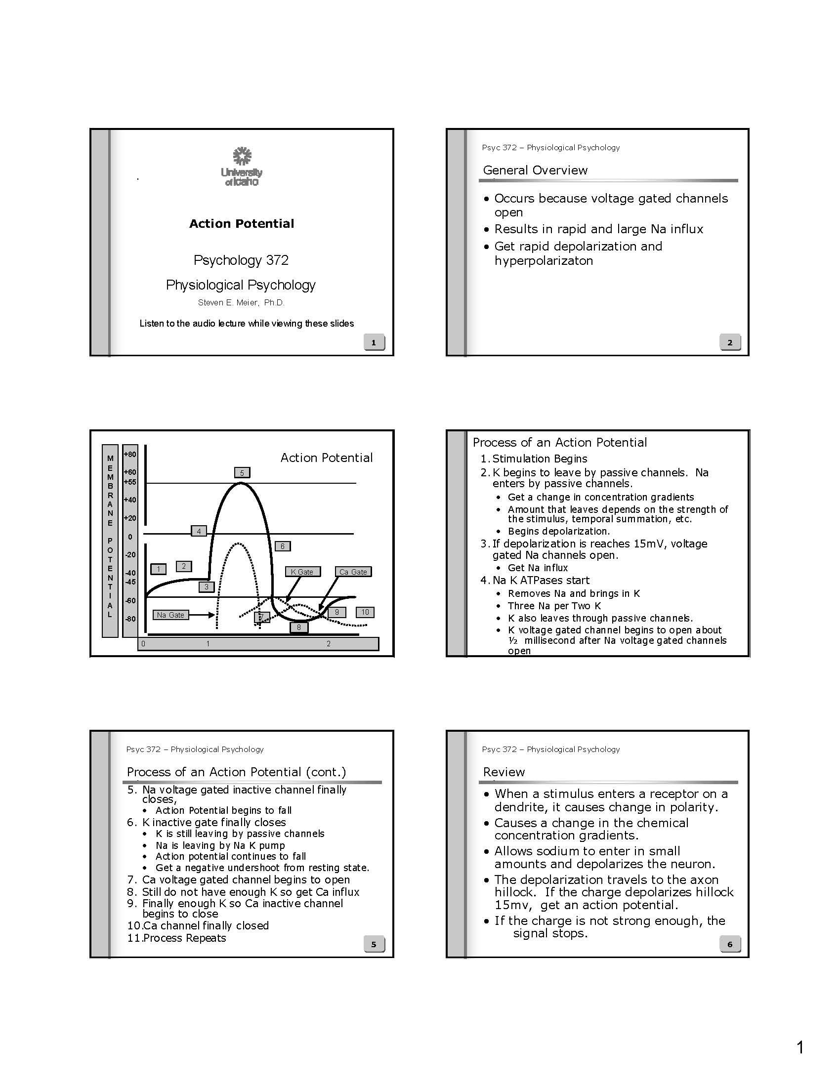 Physiological Psychology