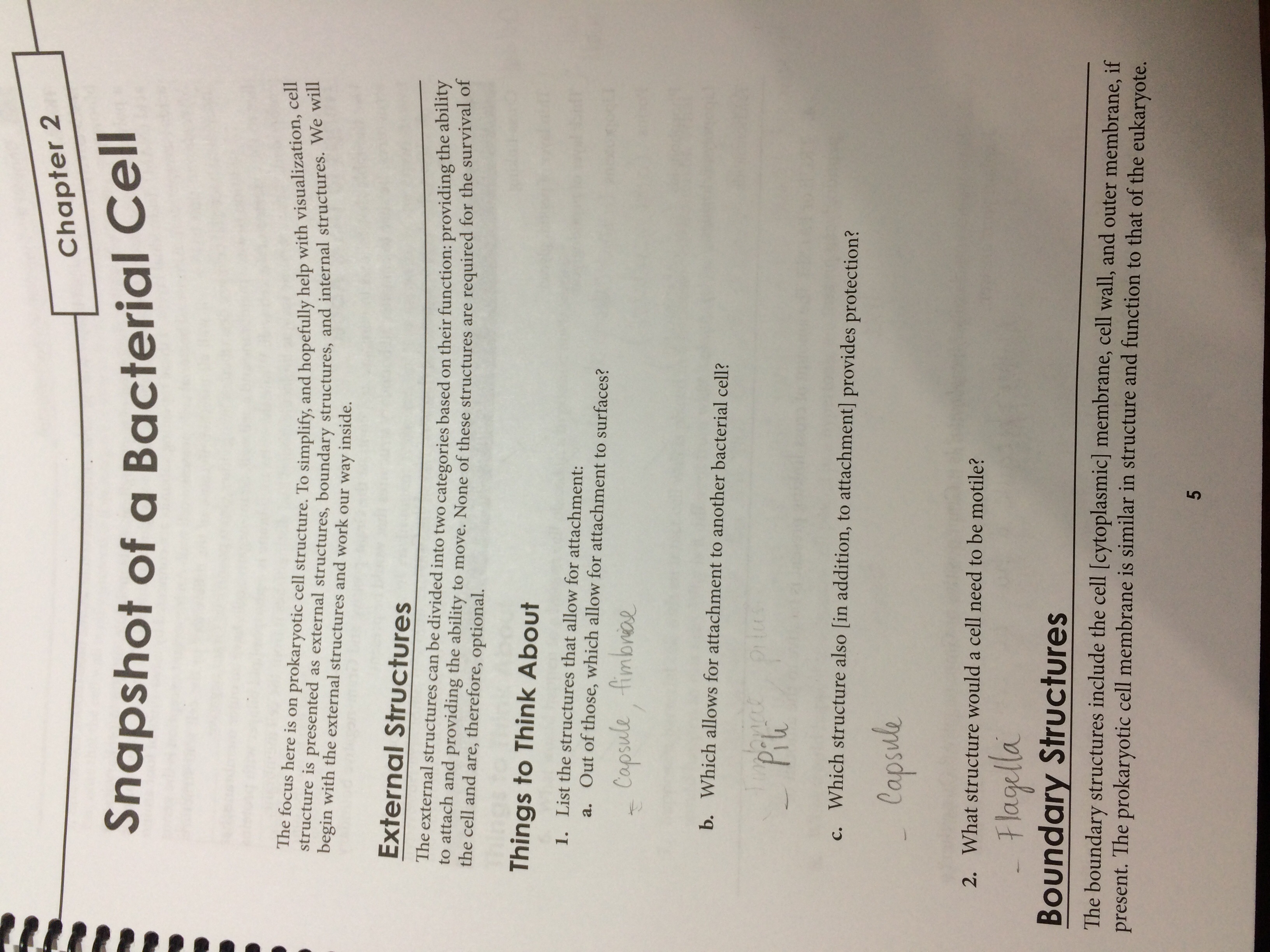 Chapter 2 Study guide 