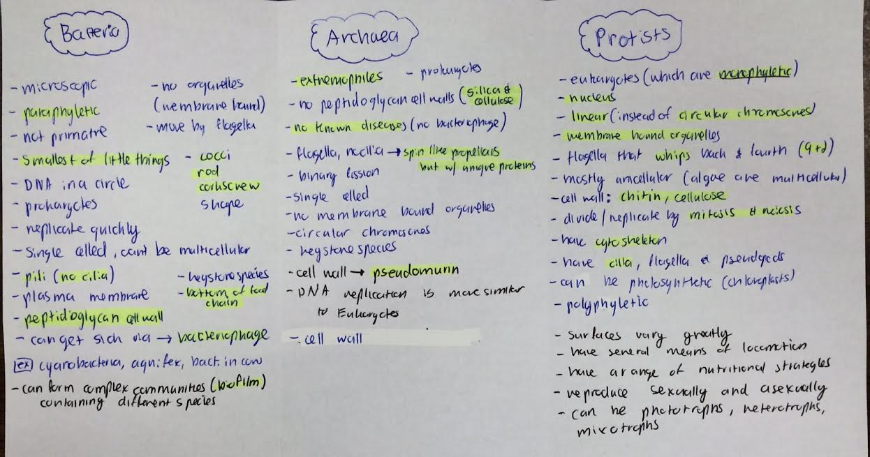 Bacteria vs. Archaea vs. Protists