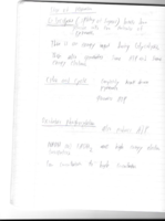 Scan 9