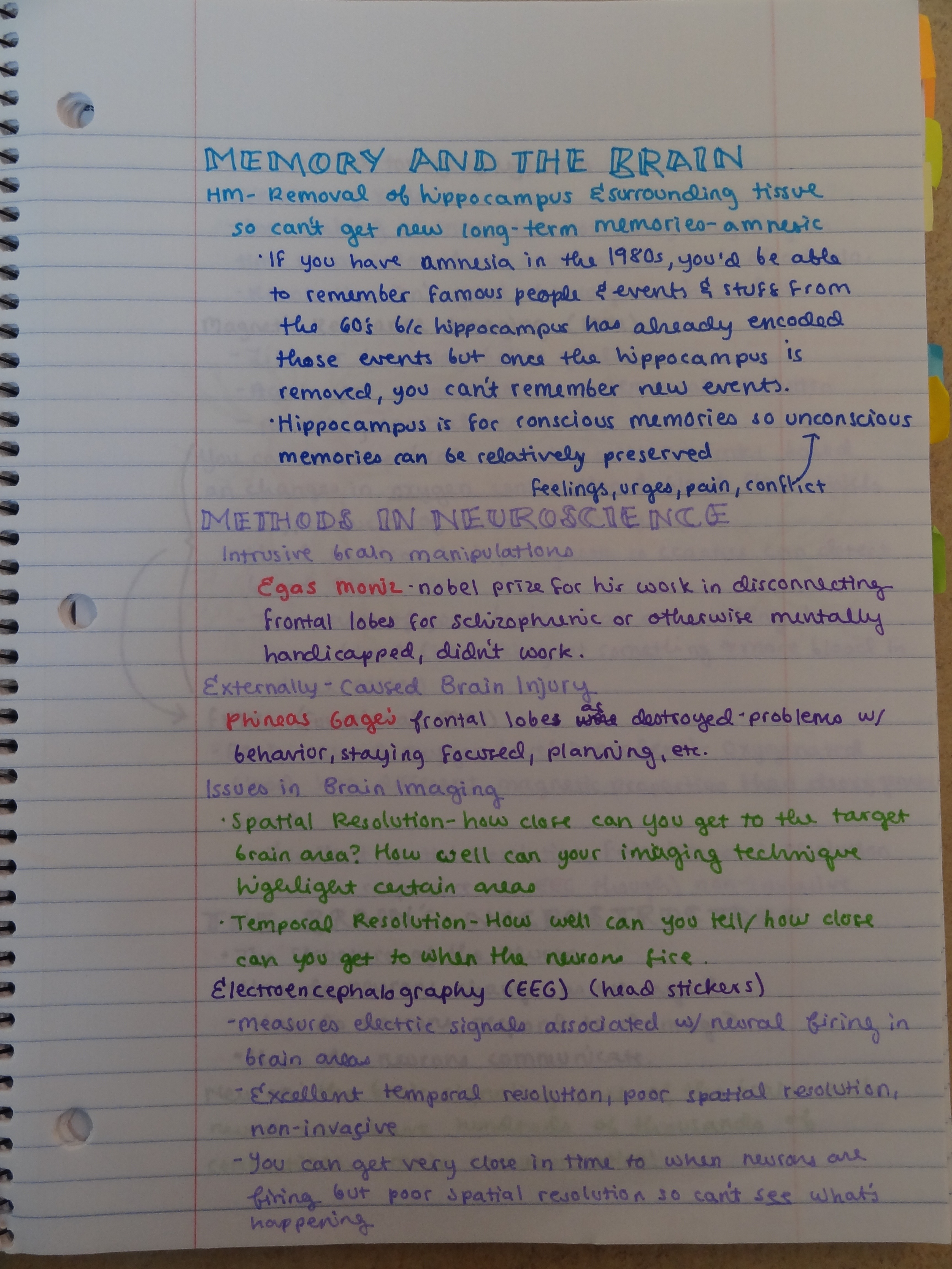 Memory and the Brain