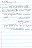 Physiology Notes 4 (Re-Upload)