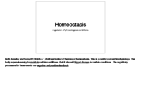 Lecture Slides