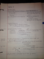 Notes 2 Weeks