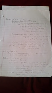 Discussion Notes Week 1