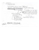 Week 1 and 2 Notes (Western Civ. II)