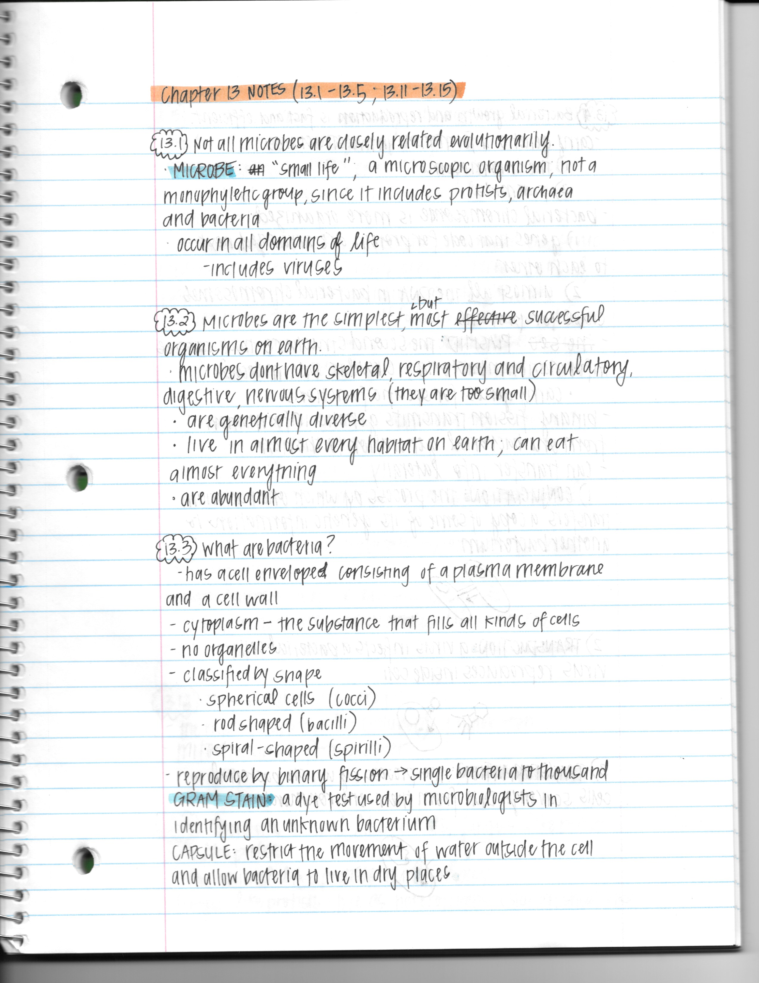 Chapter 13 Notes (Week 3)