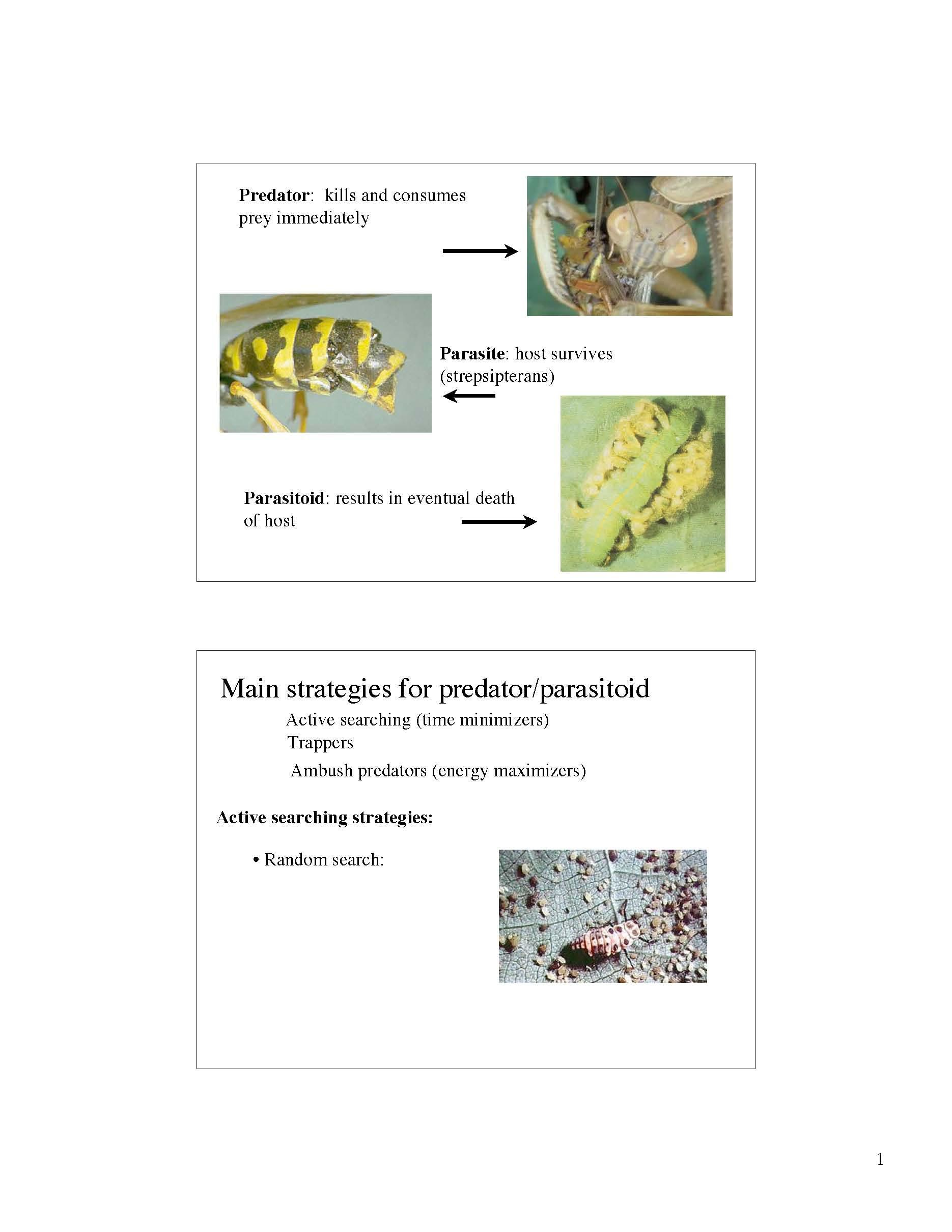 ENTOMOLOGY