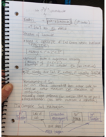 Chapter 7 (lecture and book notes)