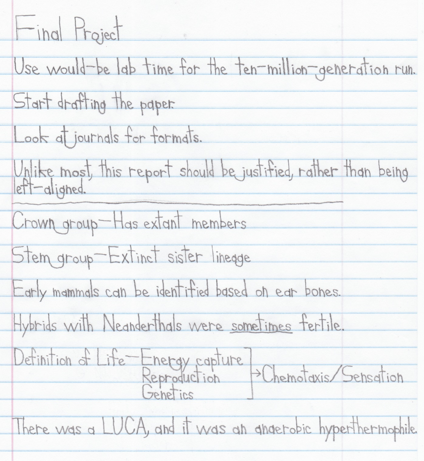 First 12 Days of November