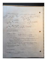 CEM 252: Week 2 Notes 1/20-1/22