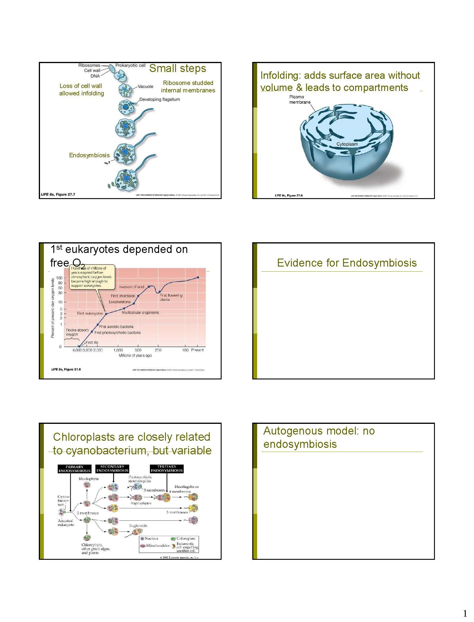 Organisms,Evolution,Ecosystems