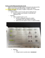 Chp 4 Book Outline