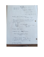 BME440 One Day of Notes